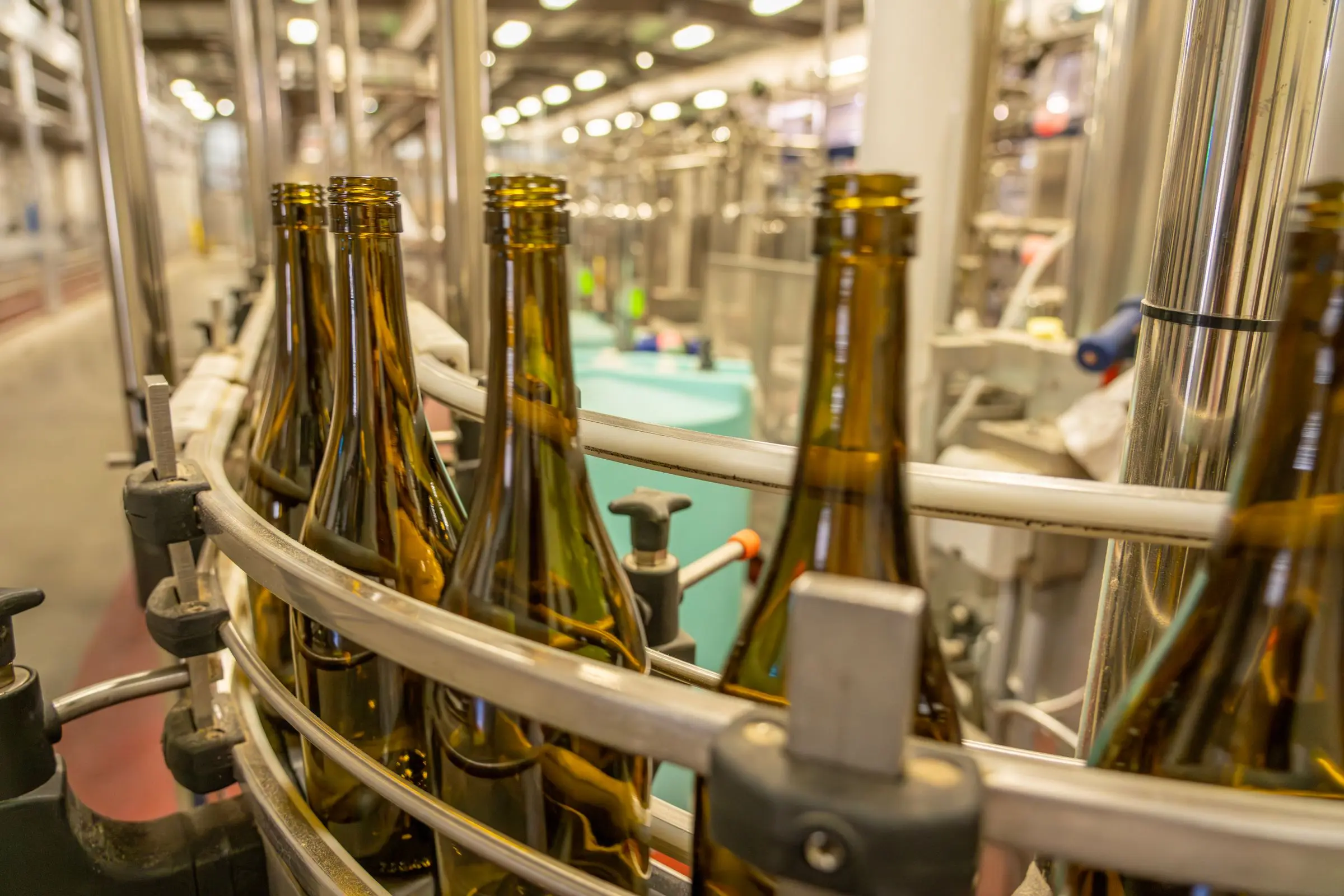Bottles moving through the star wheel of a rotary filling machine